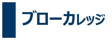 Service LAG Japan, Brokerage